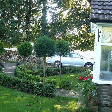 Forest View B&B Landford エクステリア 写真