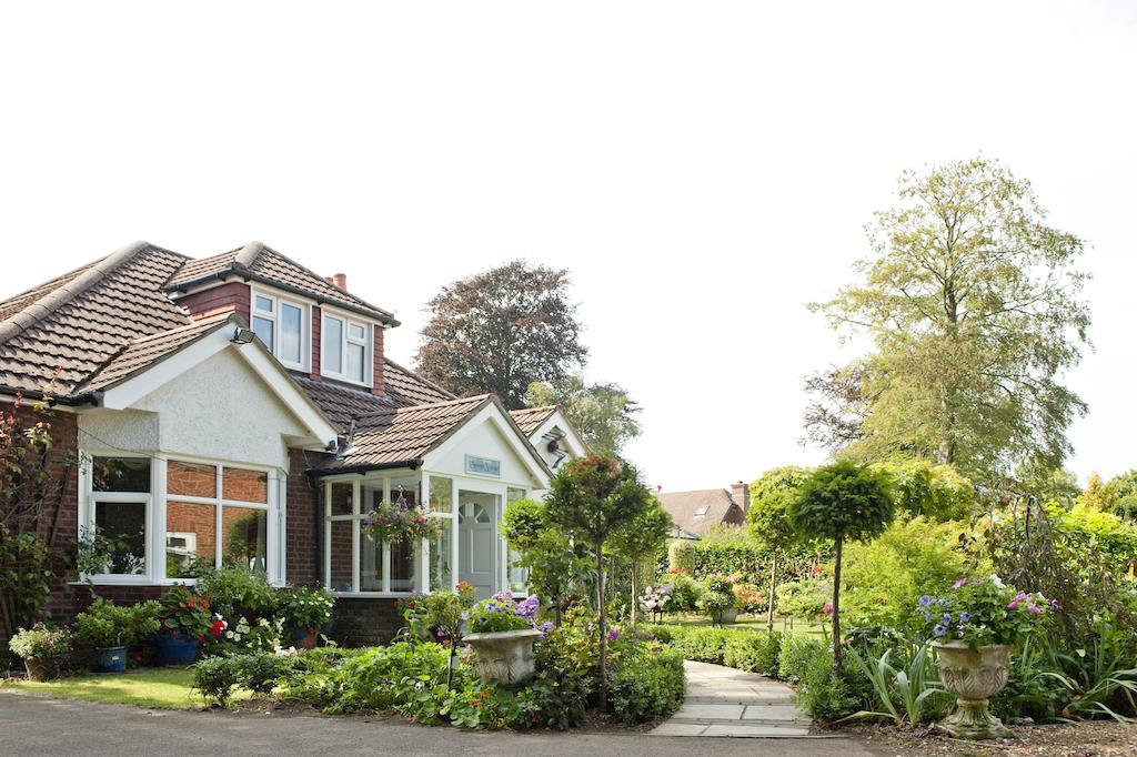 Forest View B&B Landford エクステリア 写真