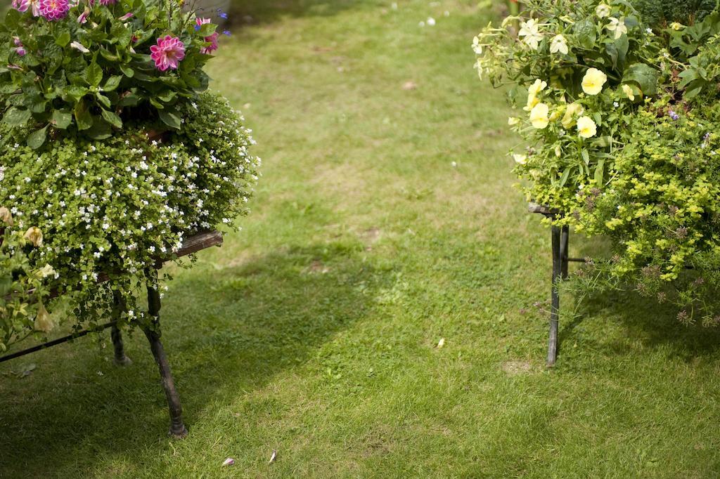 Forest View B&B Landford エクステリア 写真