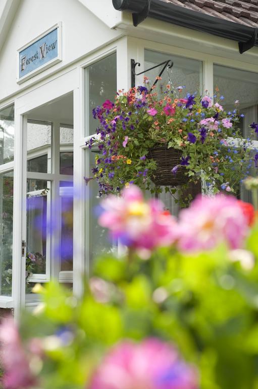 Forest View B&B Landford エクステリア 写真
