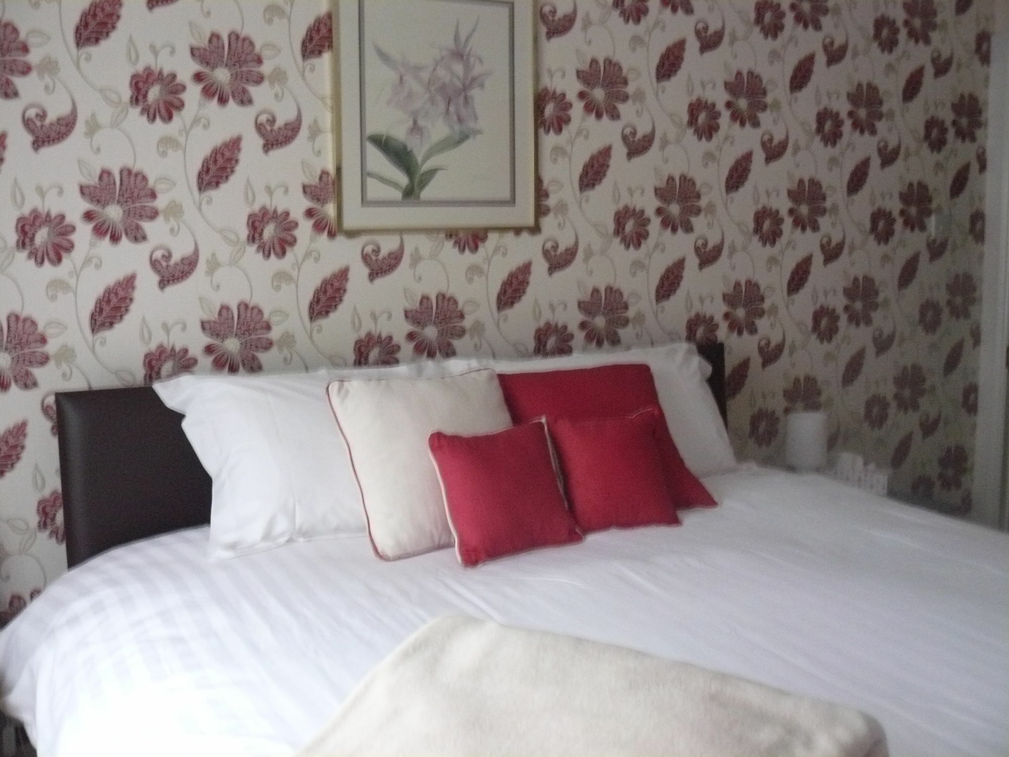 Forest View B&B Landford エクステリア 写真