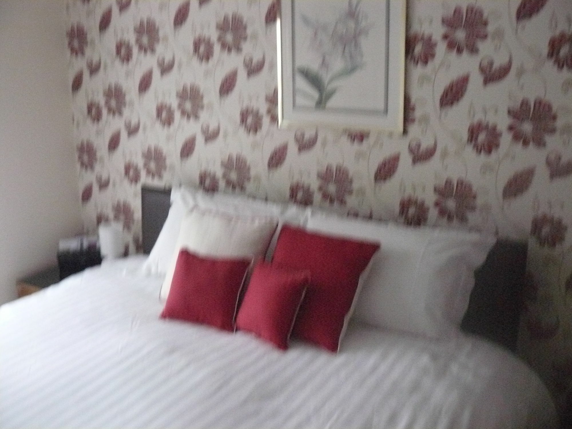 Forest View B&B Landford エクステリア 写真